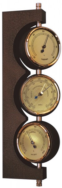 Fischer Wetterstation Vision Kugel