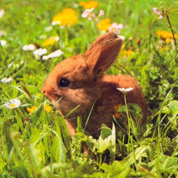 Dregeno Erzgebirge - Servietten, Motiv: Hase auf Wiese