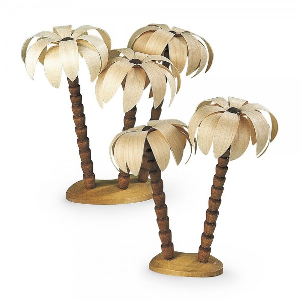 Müller Palmengruppen natur