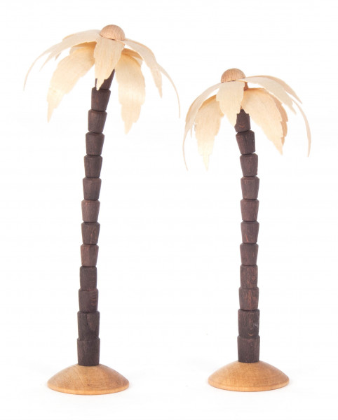 Dregeno Erzgebirge - Palmen natur, 11/14 cm (2)